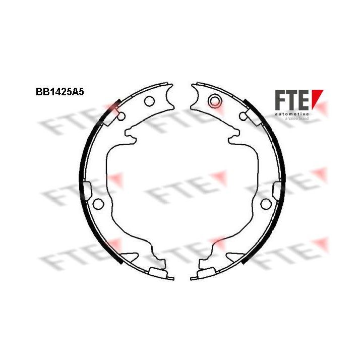 Stabdžių trinkelių komplektas, stovėjimo stabdis FTE 9100153