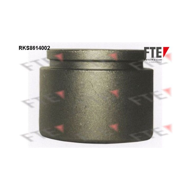 Stūmoklis, stabdžių apkaba FTE 9313000