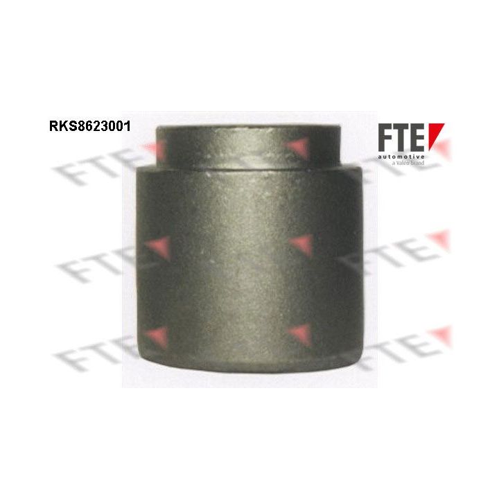 Stūmoklis, stabdžių apkaba FTE 9313012