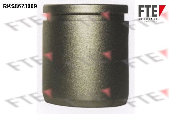 Stūmoklis, stabdžių apkaba FTE 9313013