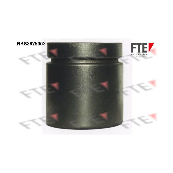 Stūmoklis, stabdžių apkaba FTE 9313016