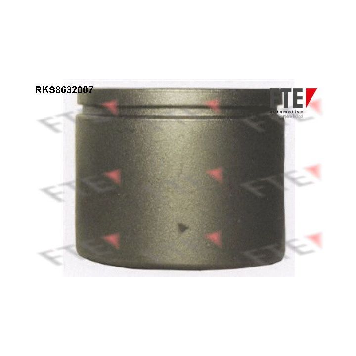 Stūmoklis, stabdžių apkaba FTE 9313029