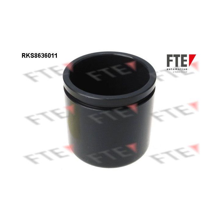 Stūmoklis, stabdžių apkaba FTE 9313055