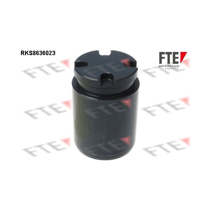 Stūmoklis, stabdžių apkaba FTE 9313058