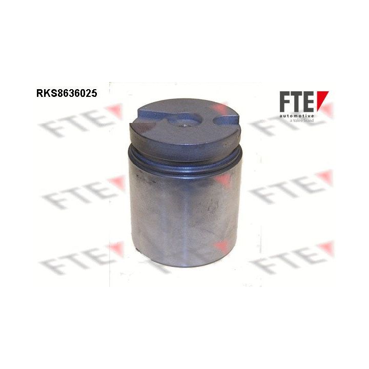 Stūmoklis, stabdžių apkaba FTE 9313060