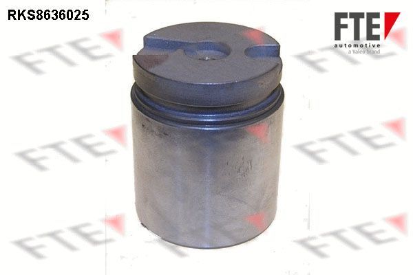 Stūmoklis, stabdžių apkaba FTE 9313060