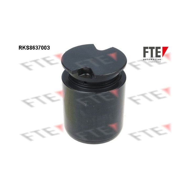 Stūmoklis, stabdžių apkaba FTE 9313063