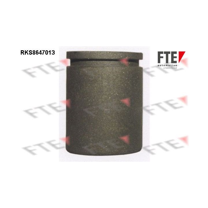 Stūmoklis, stabdžių apkaba FTE 9313076