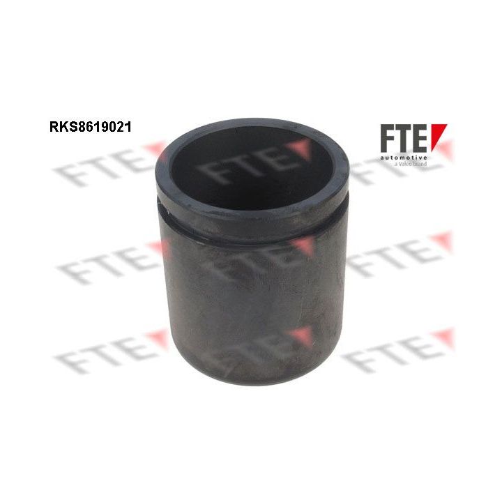 Stūmoklis, stabdžių apkaba FTE 9313163