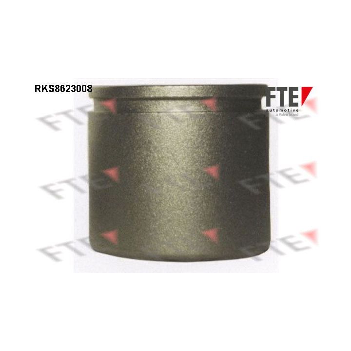 Stūmoklis, stabdžių apkaba FTE 9313195