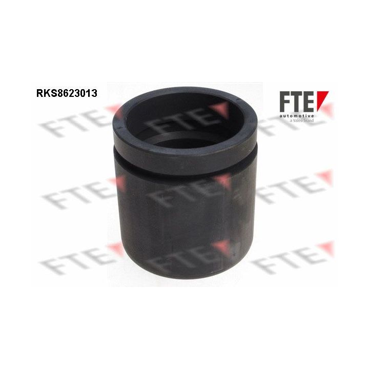 Stūmoklis, stabdžių apkaba FTE 9313197