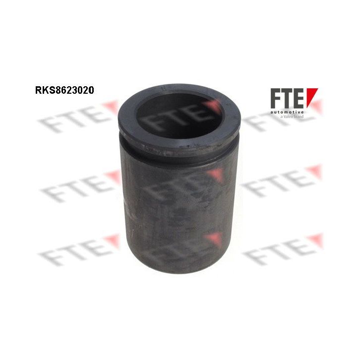 Stūmoklis, stabdžių apkaba FTE 9313204