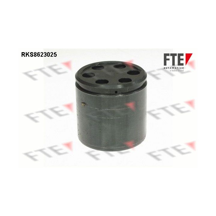 Stūmoklis, stabdžių apkaba FTE 9313208