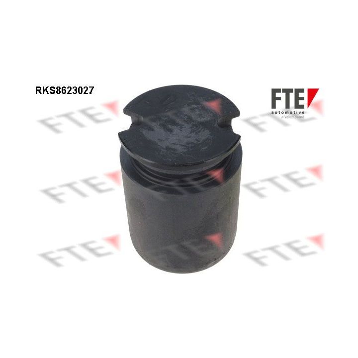 Stūmoklis, stabdžių apkaba FTE 9313209