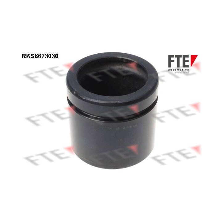 Stūmoklis, stabdžių apkaba FTE 9313210