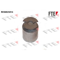 Stūmoklis, stabdžių apkaba FTE 9313221