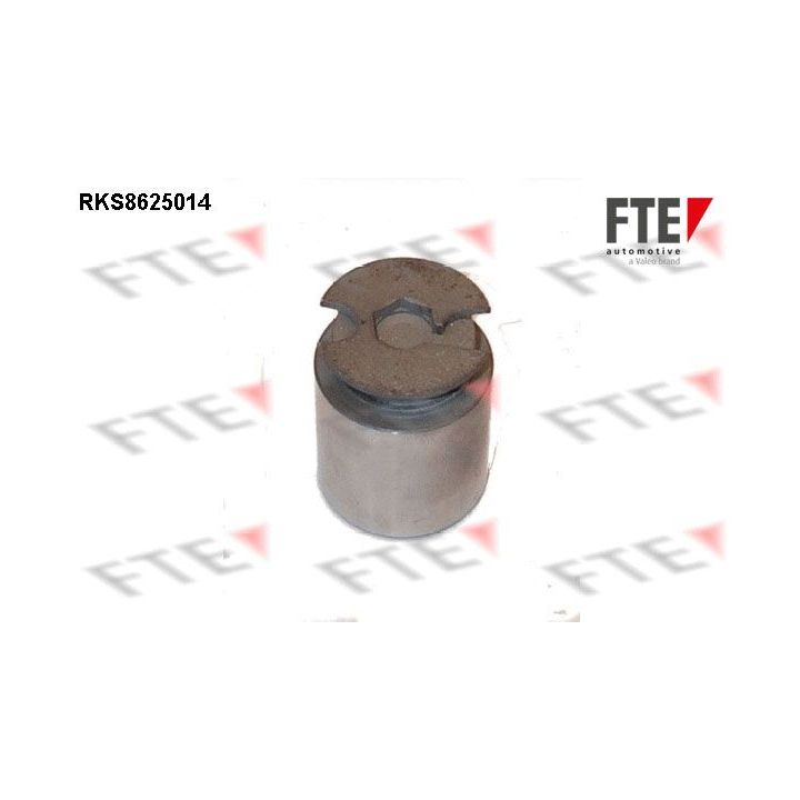 Stūmoklis, stabdžių apkaba FTE 9313221