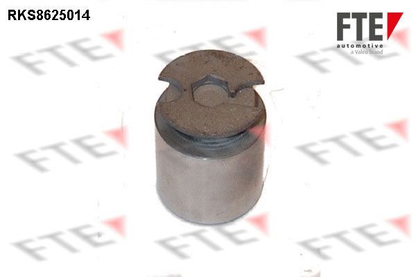 Stūmoklis, stabdžių apkaba FTE 9313221