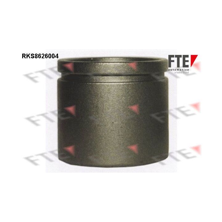 Stūmoklis, stabdžių apkaba FTE 9313231