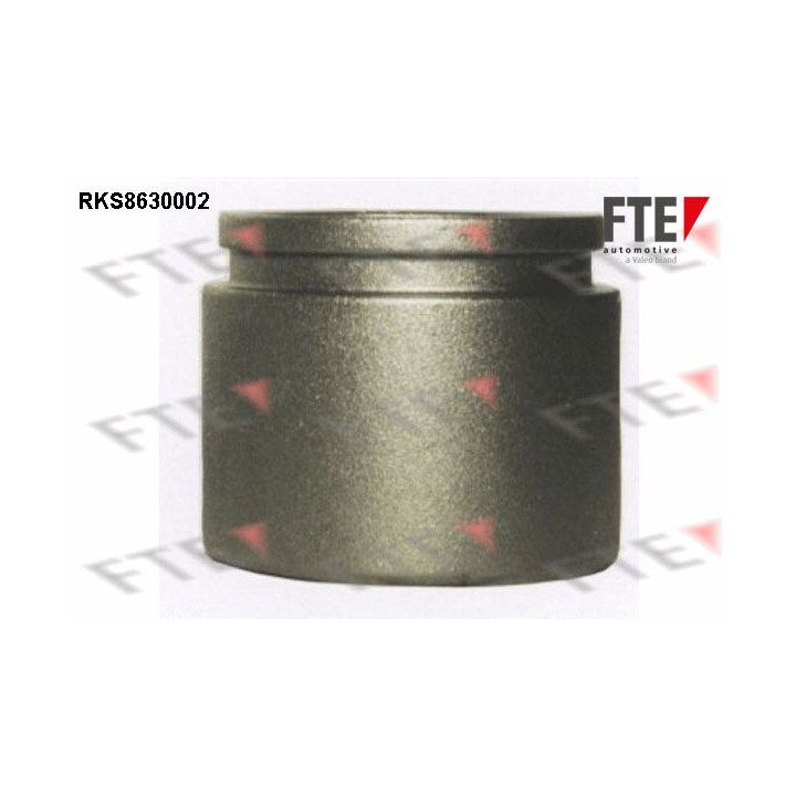 Stūmoklis, stabdžių apkaba FTE 9313241