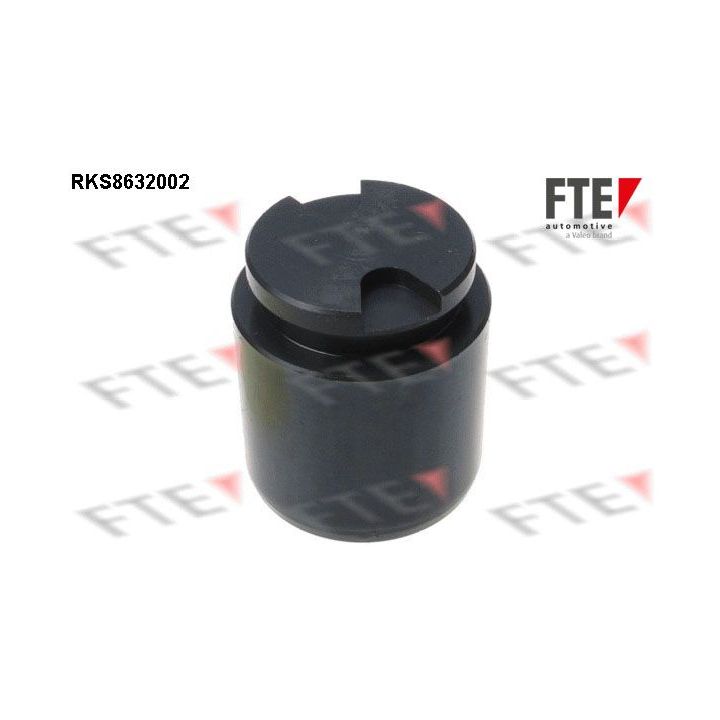 Stūmoklis, stabdžių apkaba FTE 9313255