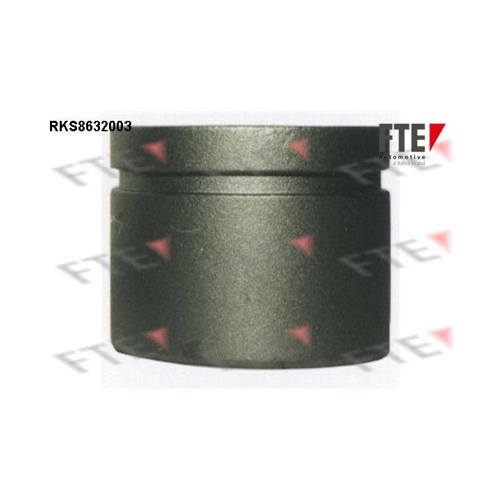 Stūmoklis, stabdžių apkaba FTE 9313256