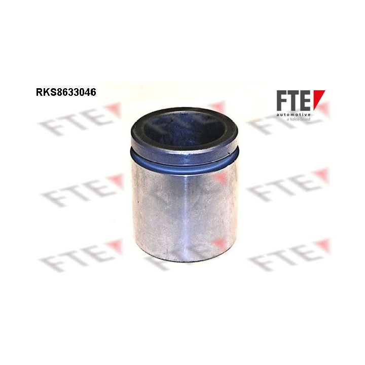 Stūmoklis, stabdžių apkaba FTE 9313289