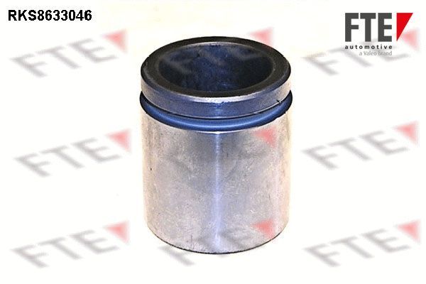 Stūmoklis, stabdžių apkaba FTE 9313289