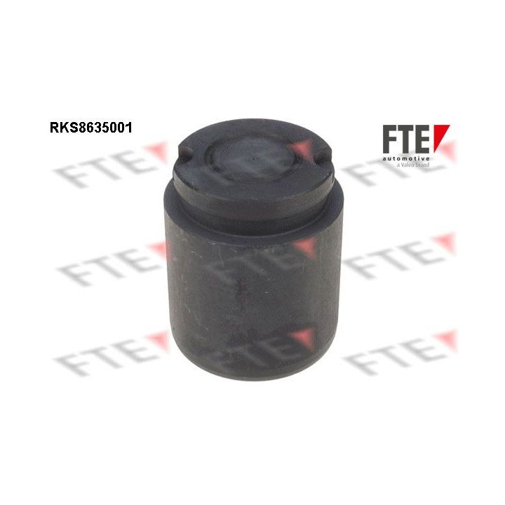 Stūmoklis, stabdžių apkaba FTE 9313309