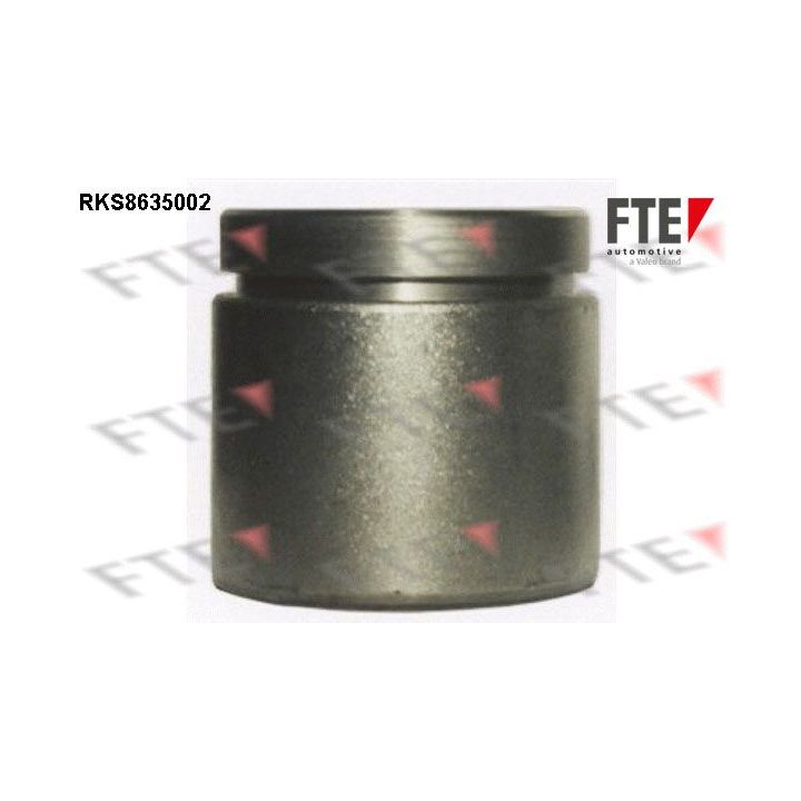 Stūmoklis, stabdžių apkaba FTE 9313310