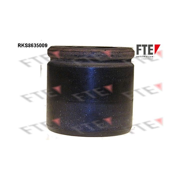 Stūmoklis, stabdžių apkaba FTE 9313317