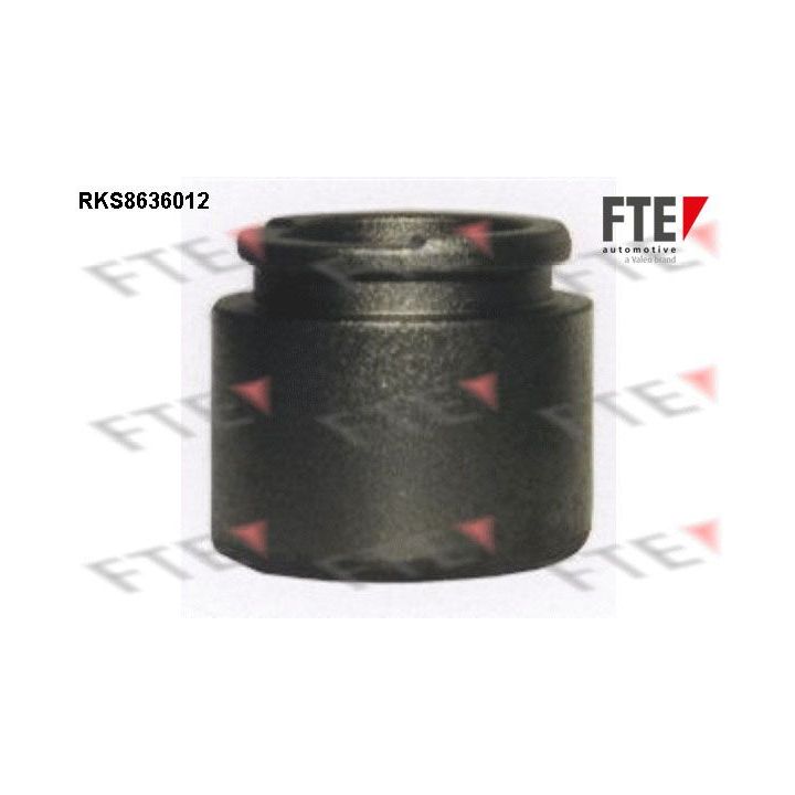 Stūmoklis, stabdžių apkaba FTE 9313329