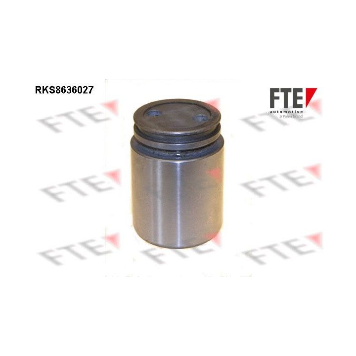 Stūmoklis, stabdžių apkaba FTE 9313339