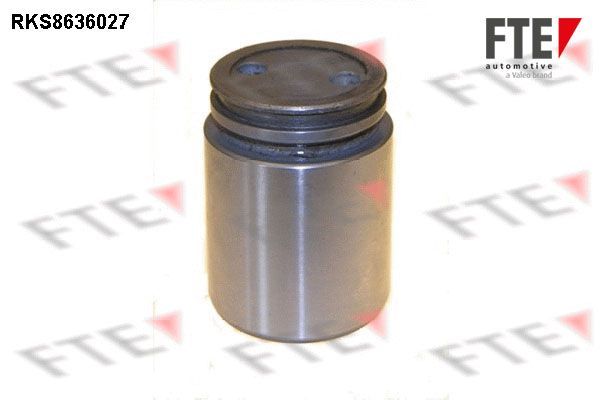 Stūmoklis, stabdžių apkaba FTE 9313339