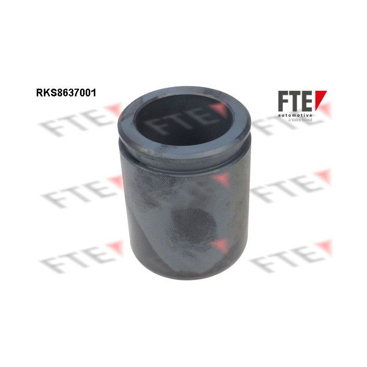 Stūmoklis, stabdžių apkaba FTE 9313347