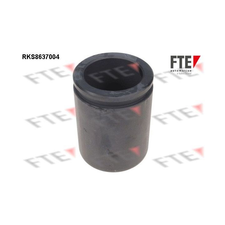 Stūmoklis, stabdžių apkaba FTE 9313349