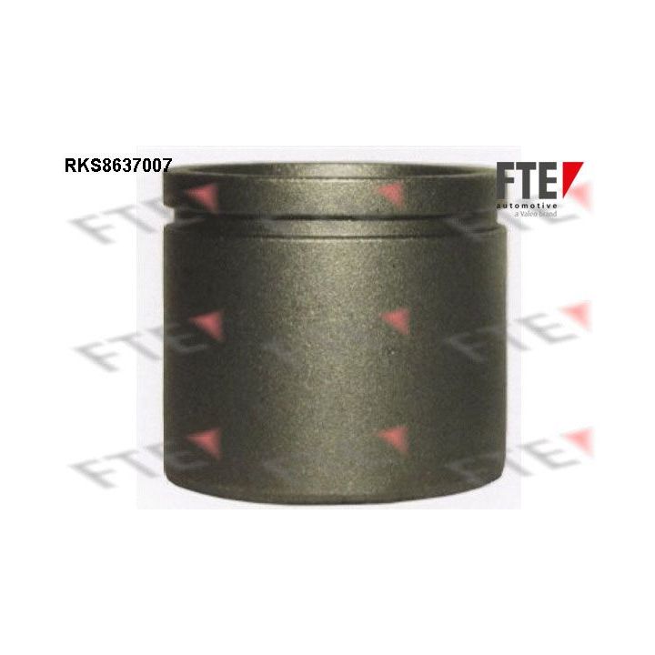 Stūmoklis, stabdžių apkaba FTE 9313350