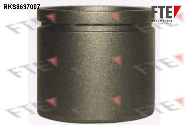 Stūmoklis, stabdžių apkaba FTE 9313350