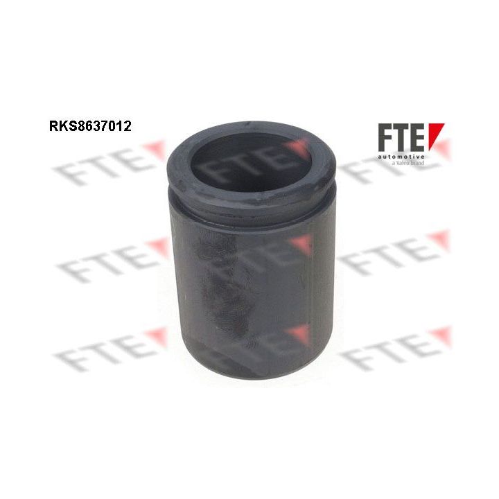 Stūmoklis, stabdžių apkaba FTE 9313353