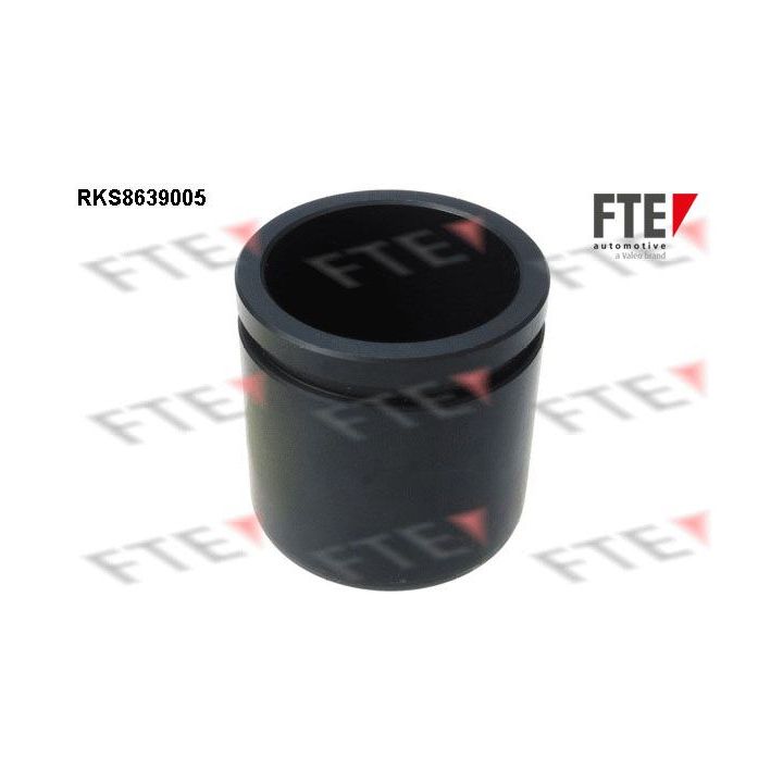 Stūmoklis, stabdžių apkaba FTE 9313357