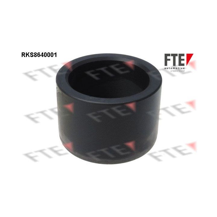 Stūmoklis, stabdžių apkaba FTE 9313363