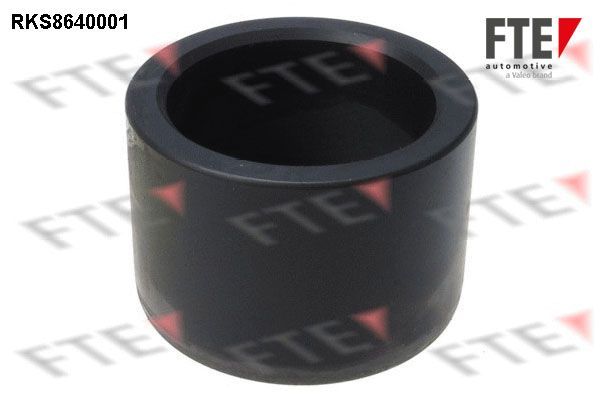 Stūmoklis, stabdžių apkaba FTE 9313363