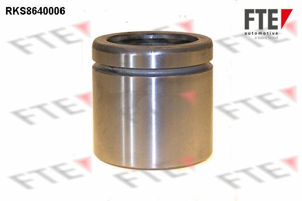 Stūmoklis, stabdžių apkaba FTE 9313366