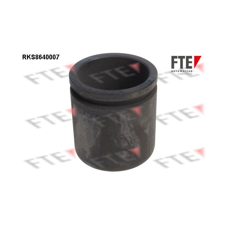 Stūmoklis, stabdžių apkaba FTE 9313367