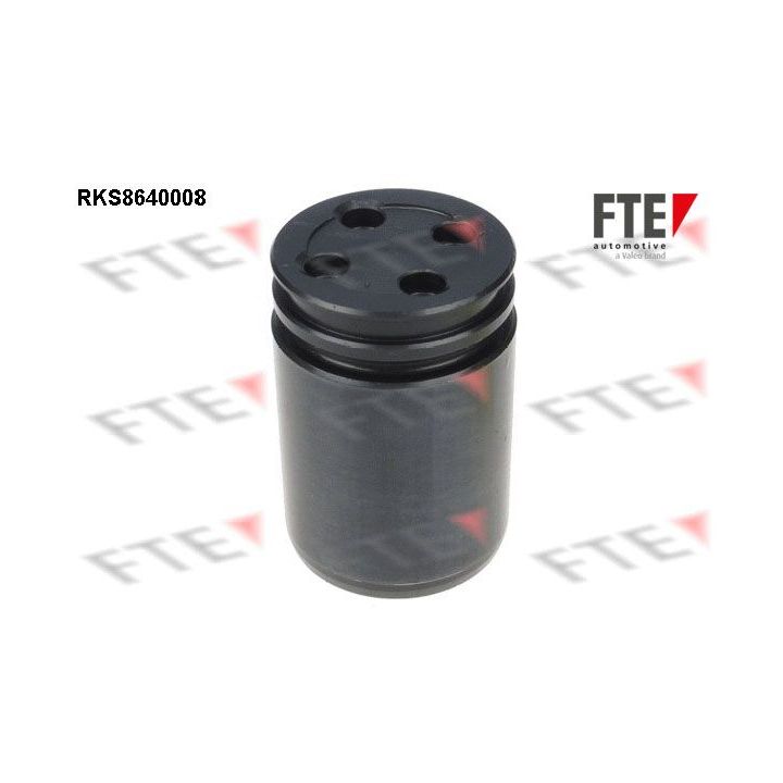 Stūmoklis, stabdžių apkaba FTE 9313368