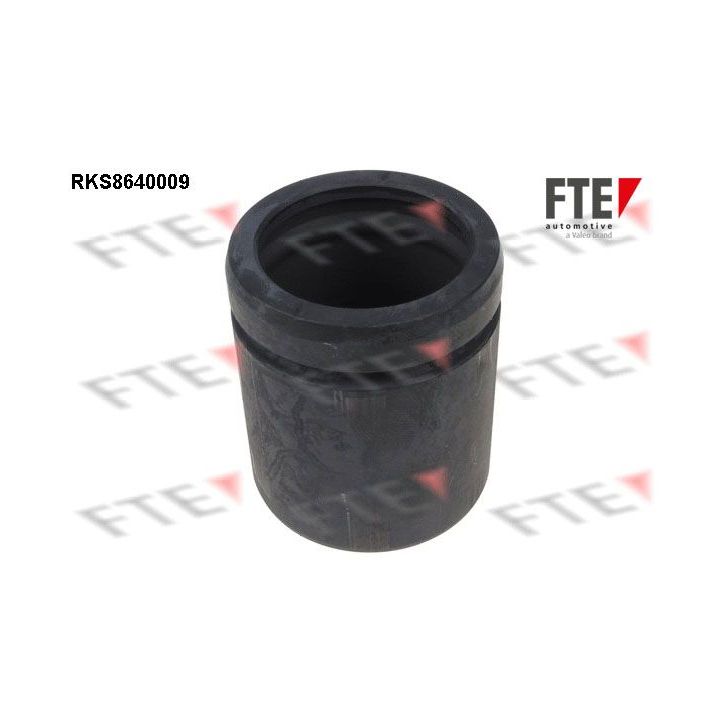 Stūmoklis, stabdžių apkaba FTE 9313369