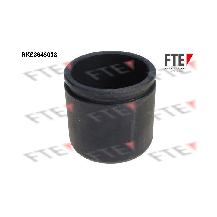 Stūmoklis, stabdžių apkaba FTE 9313411