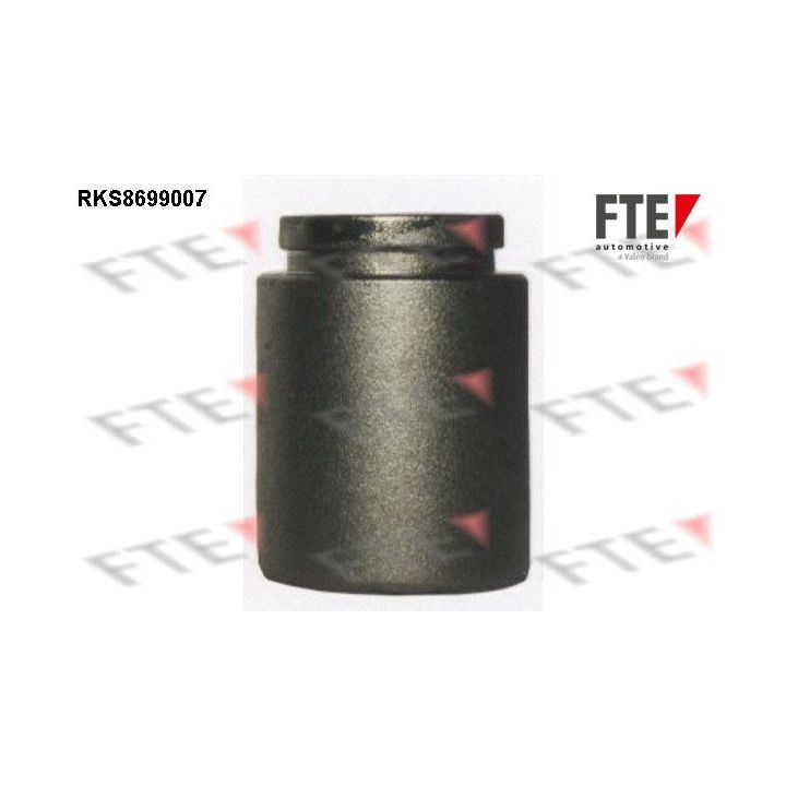 Stūmoklis, stabdžių apkaba FTE 9313477