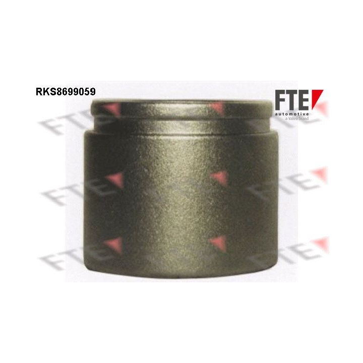 Stūmoklis, stabdžių apkaba FTE 9313512