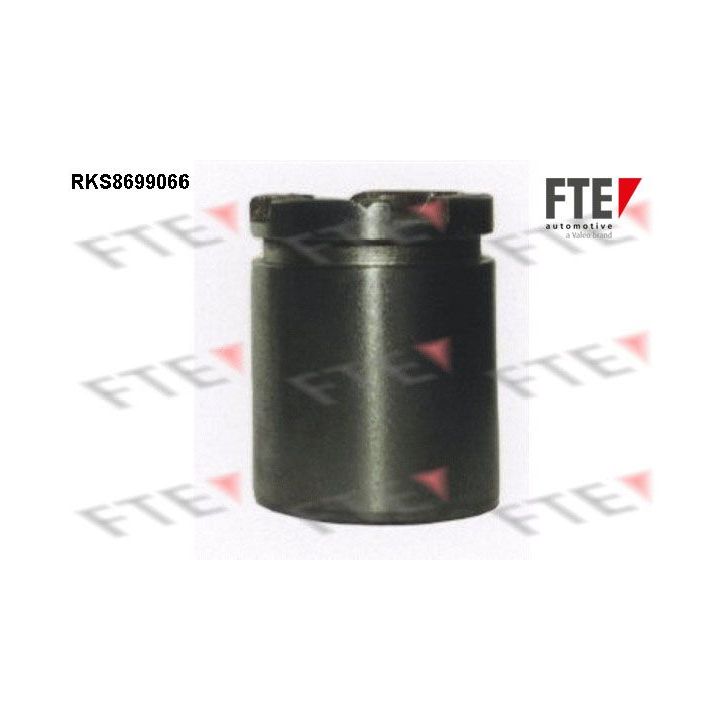 Stūmoklis, stabdžių apkaba FTE 9313517